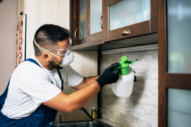Best Affordable Pest Control Services  in Port Clinton, OH