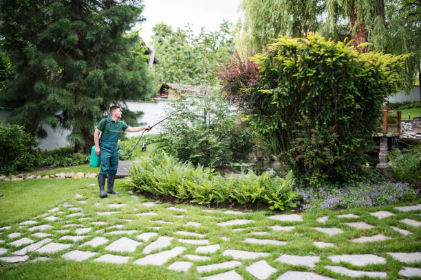 Best Mosquito Control Services  in Port Clinton, OH